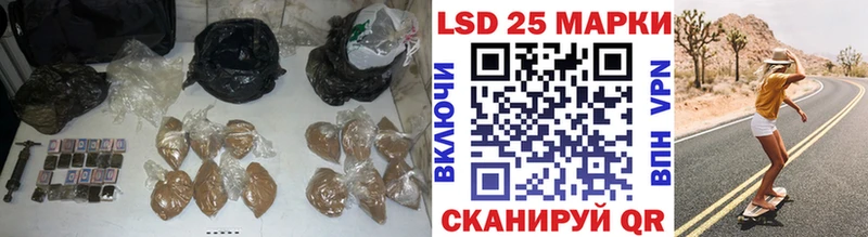 ссылка на мегу как войти  Спасск  Лсд 25 экстази ecstasy 