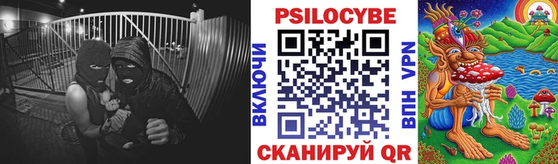 Галлюциногенные грибы Magic Shrooms  Спасск 